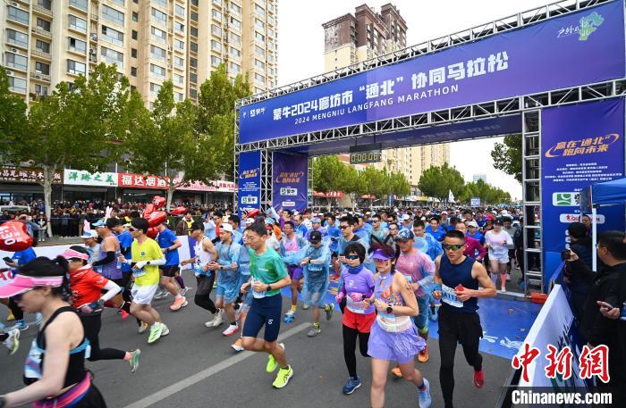 以香河经验为镜，廊坊2024“通北”协同马拉松鸣